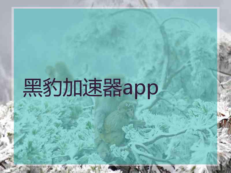 黑豹加速器app