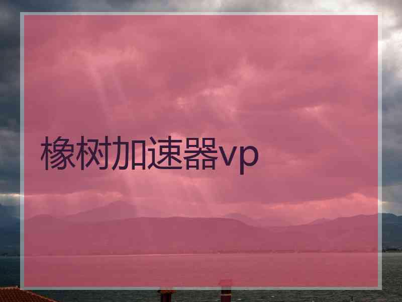 橡树加速器vp