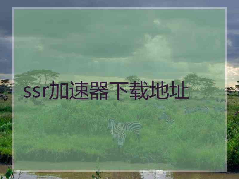 ssr加速器下载地址