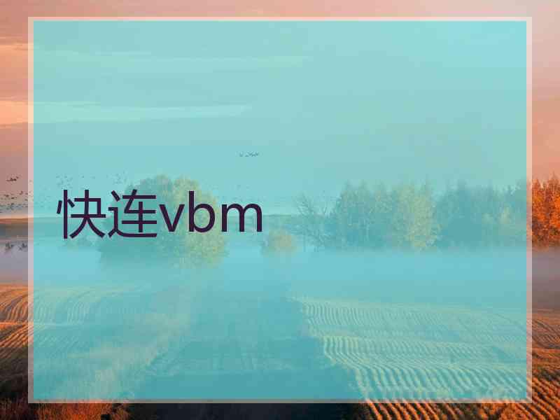 快连vbm