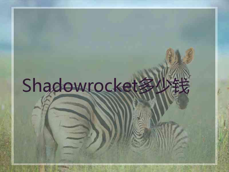 Shadowrocket多少钱