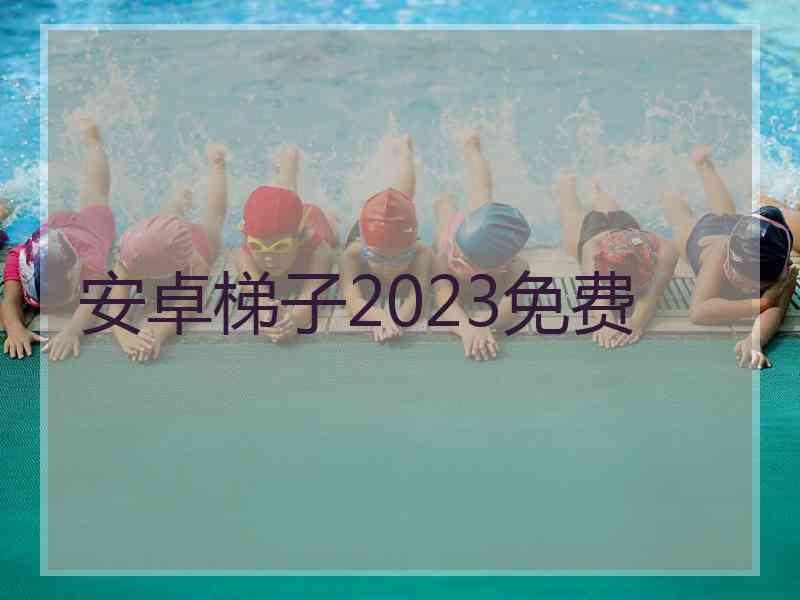 安卓梯子2023免费