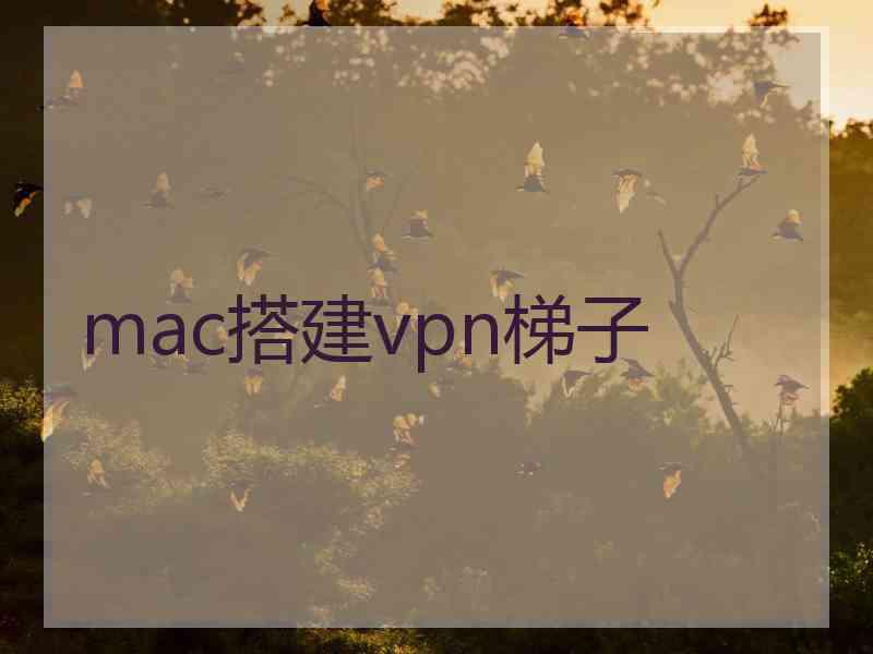 mac搭建vpn梯子