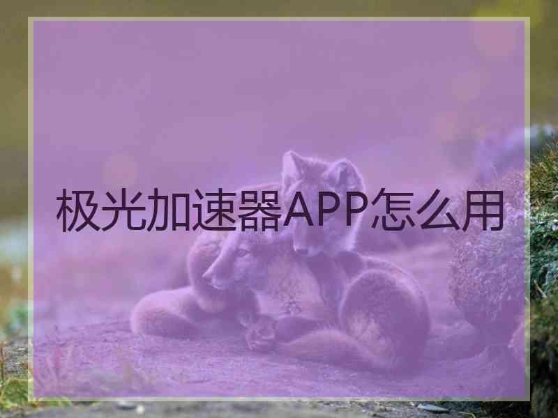 极光加速器APP怎么用