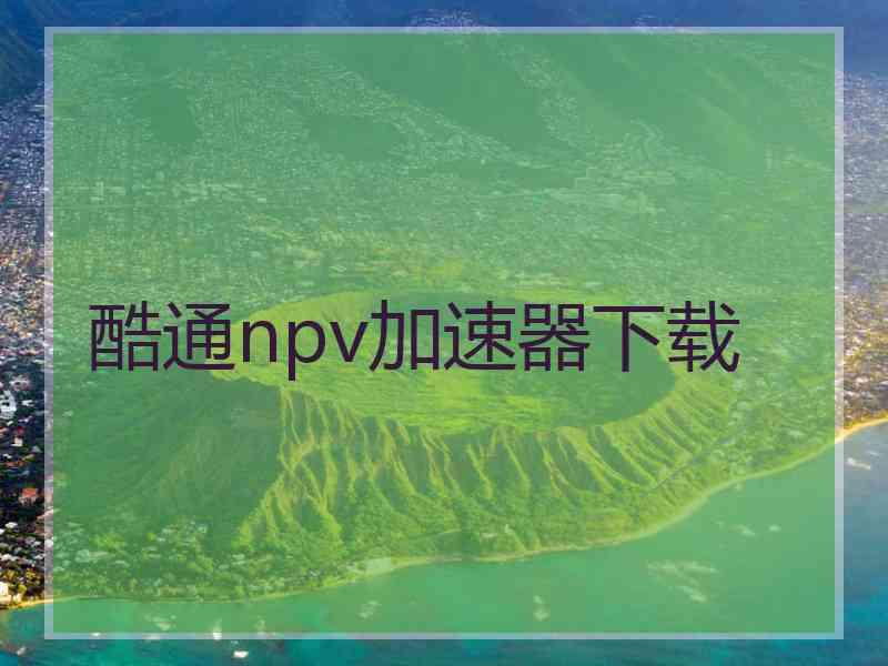 酷通npv加速器下载