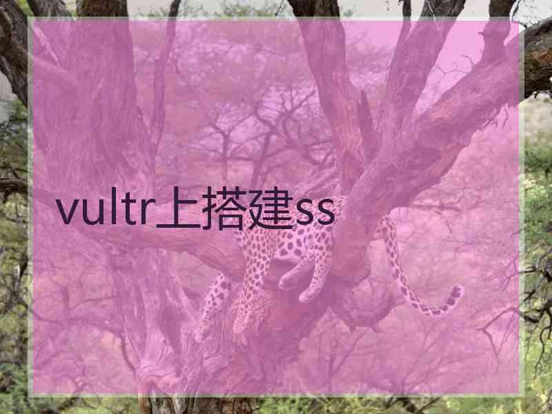 vultr上搭建ss