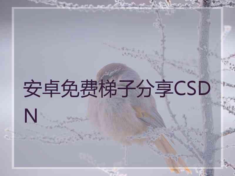 安卓免费梯子分享CSDN