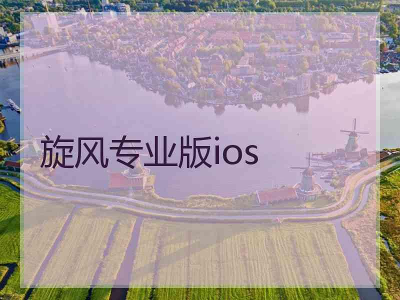 旋风专业版ios