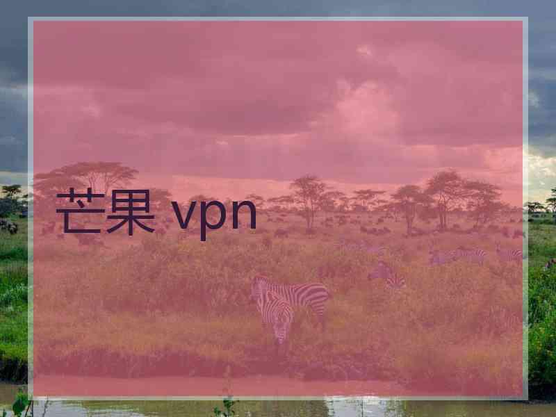 芒果 vpn