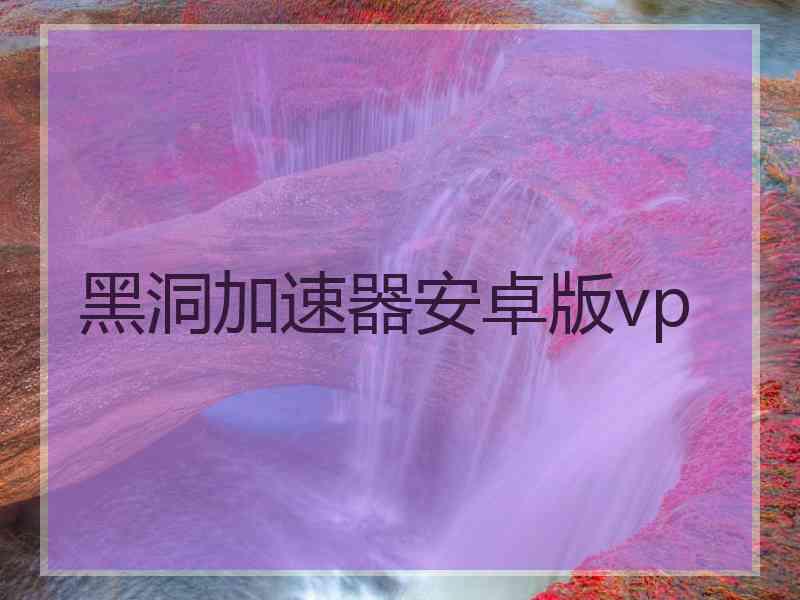 黑洞加速器安卓版vp