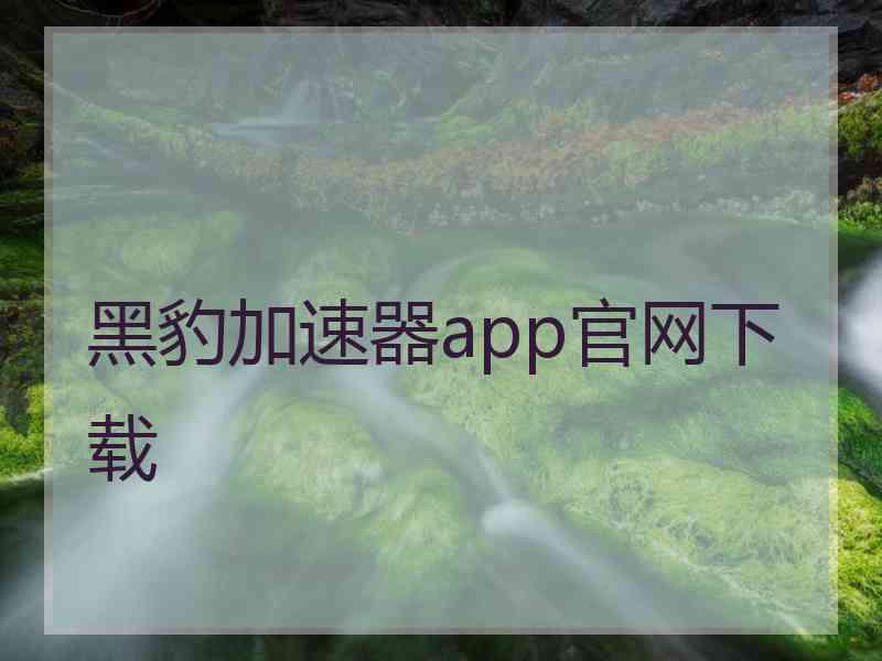 黑豹加速器app官网下载