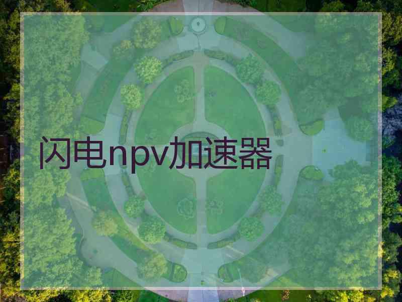 闪电npv加速器