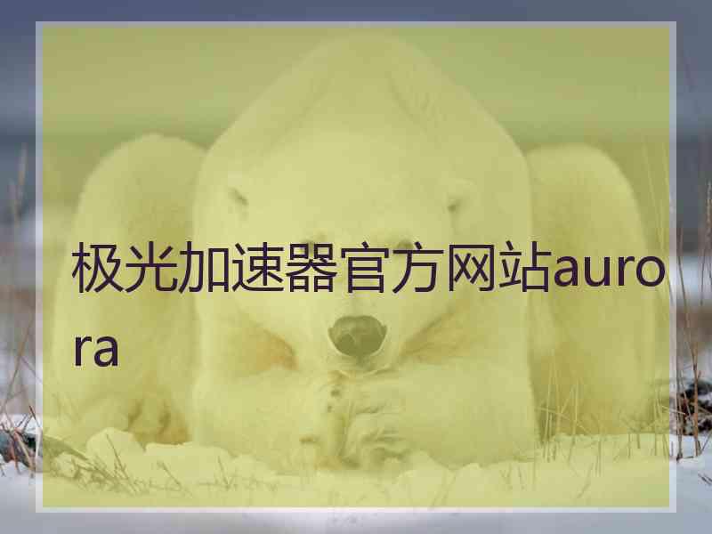 极光加速器官方网站aurora