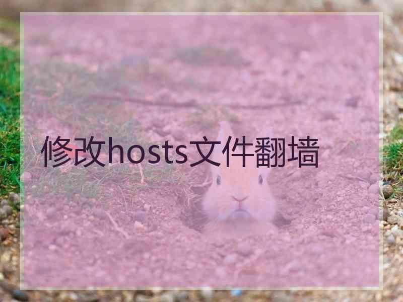 修改hosts文件翻墙