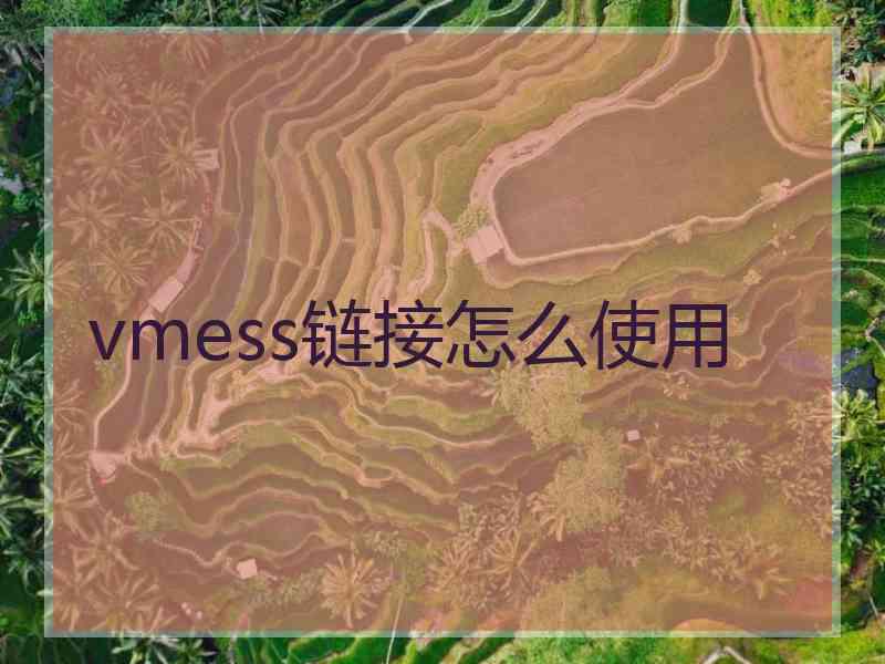 vmess链接怎么使用