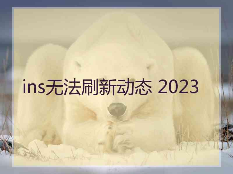 ins无法刷新动态 2023