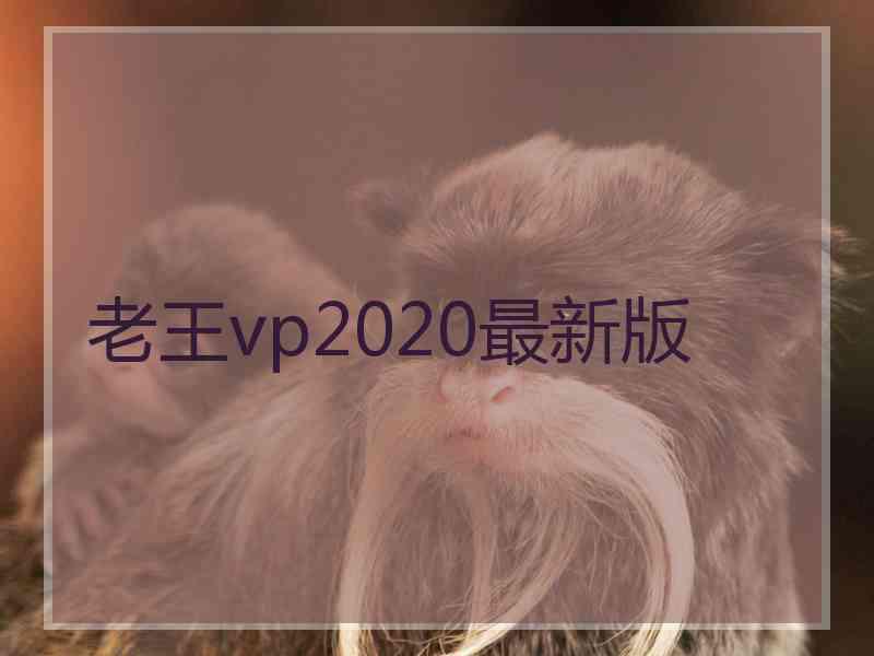 老王vp2020最新版