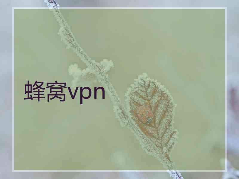 蜂窝vpn