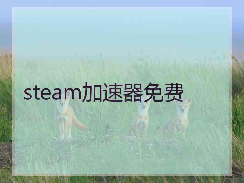 steam加速器免费