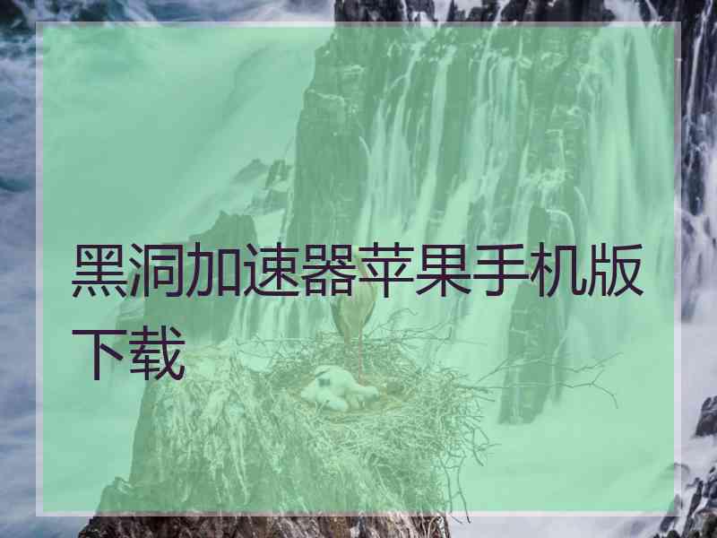 黑洞加速器苹果手机版下载