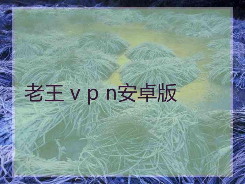 老王 v p n安卓版