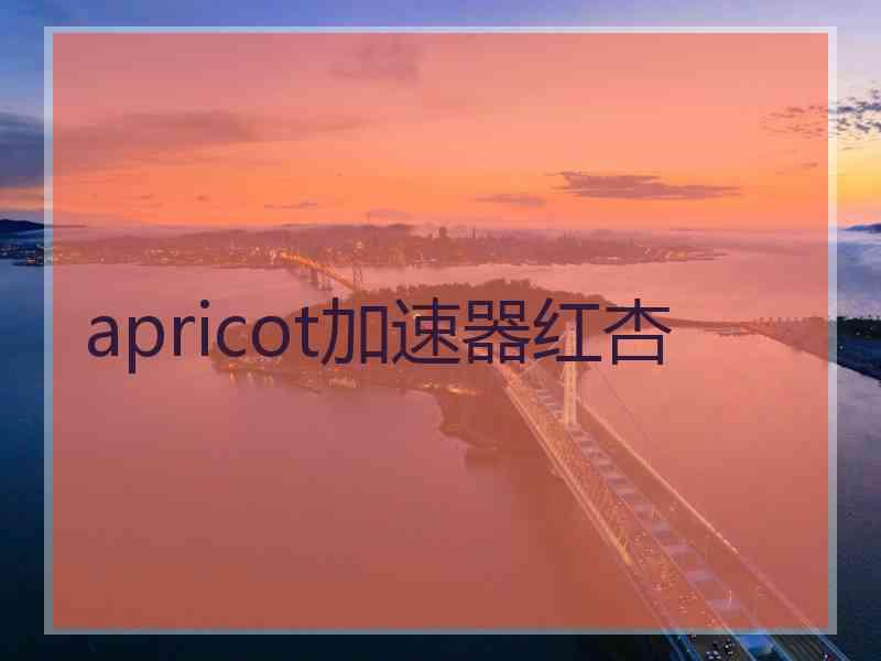 apricot加速器红杏