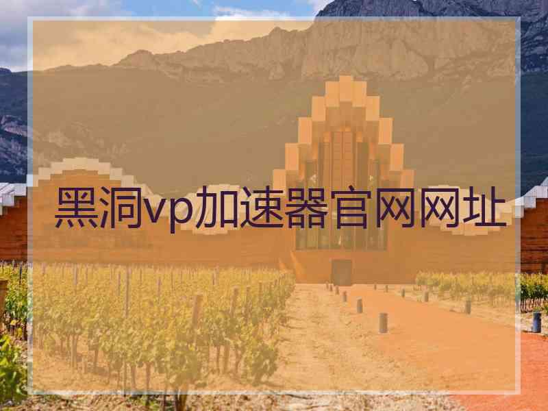 黑洞vp加速器官网网址