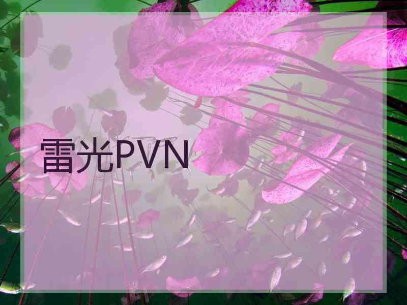 雷光PVN