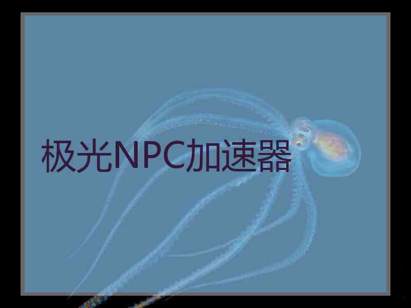 极光NPC加速器