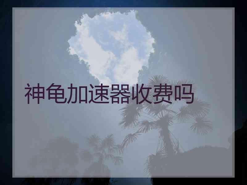 神龟加速器收费吗