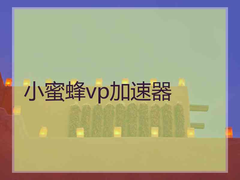 小蜜蜂vp加速器