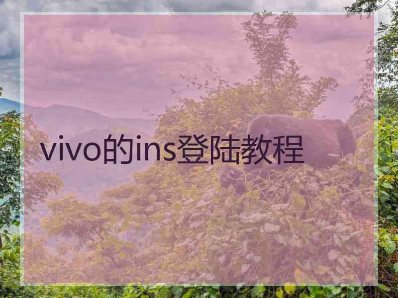 vivo的ins登陆教程