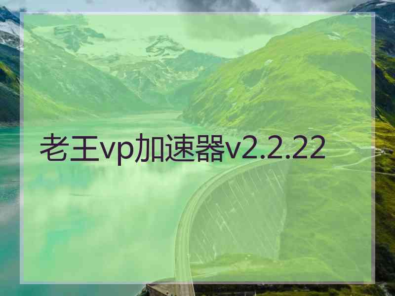 老王vp加速器v2.2.22