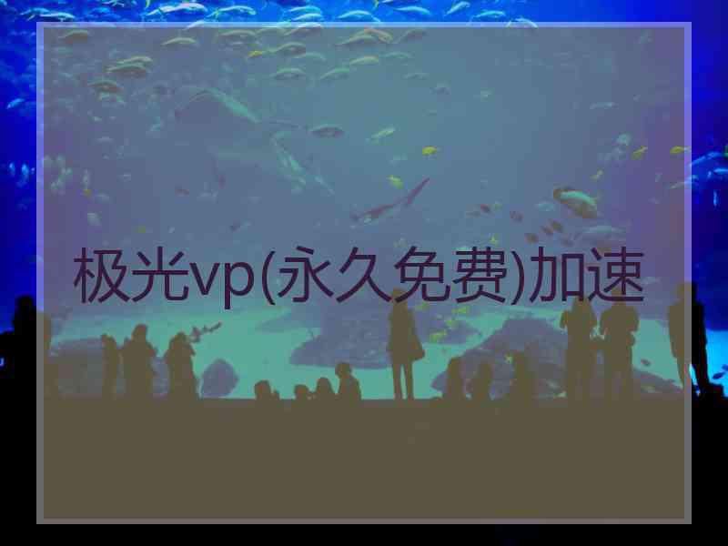 极光vp(永久免费)加速