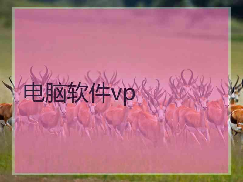 电脑软件vp