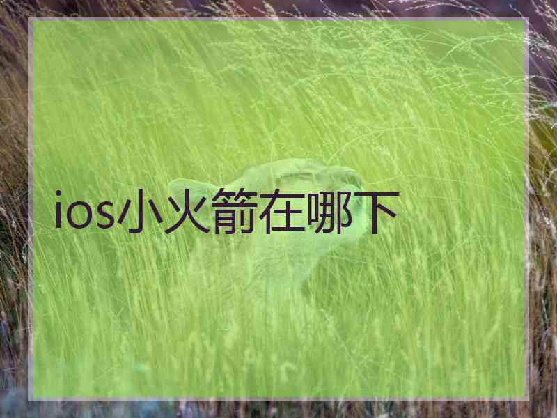 ios小火箭在哪下