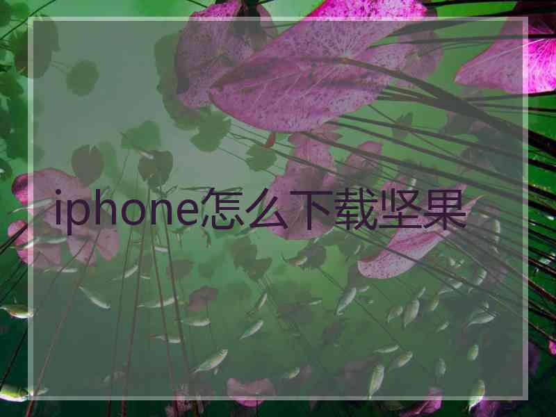 iphone怎么下载坚果