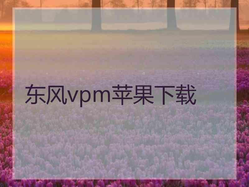 东风vpm苹果下载