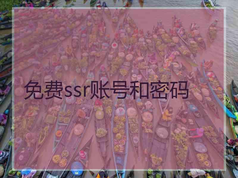 免费ssr账号和密码