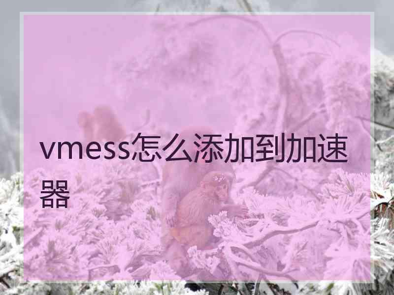 vmess怎么添加到加速器