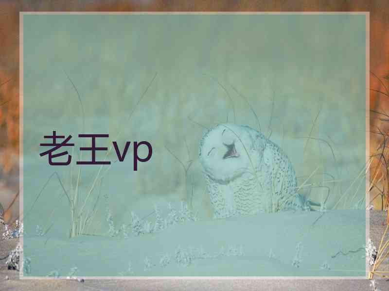 老王vp