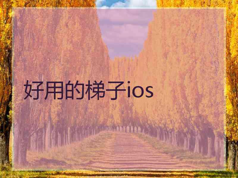 好用的梯子ios