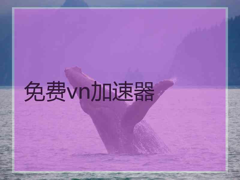 免费vn加速器