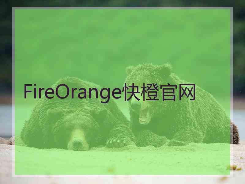 FireOrange快橙官网