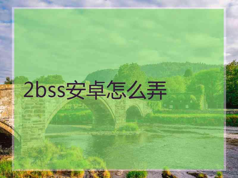 2bss安卓怎么弄