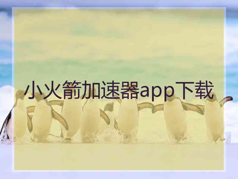 小火箭加速器app下载