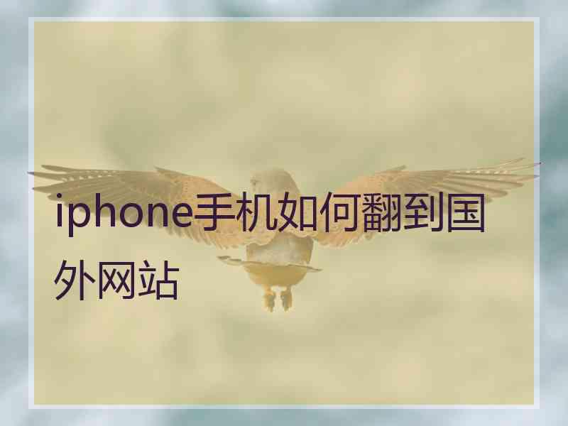 iphone手机如何翻到国外网站