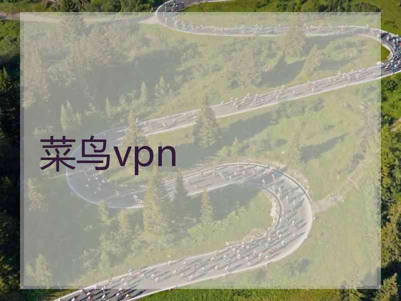 菜鸟vpn