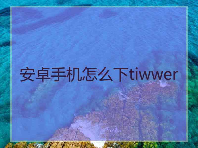 安卓手机怎么下tiwwer