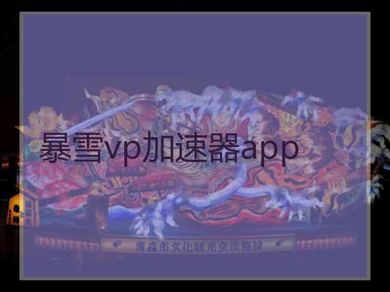 暴雪vp加速器app